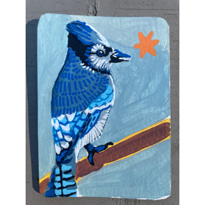 Blue Jay portrait- “blu cheese” - original by Norah Mae aceo art card thumbnail 4