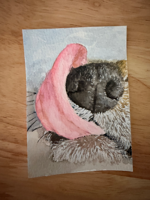 Dog boop aceo art card