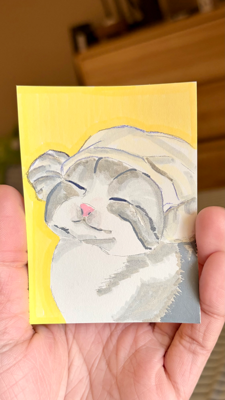 Sauna Cat Happy | Random Cat Series aceo art card