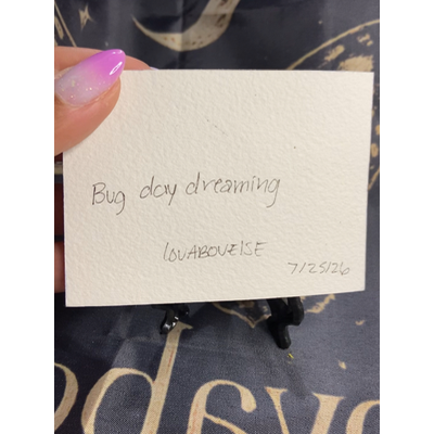Bug day dreaming aceo art card thumbnail 2