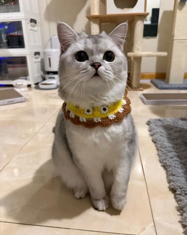 “Mish bundle” aceo art card