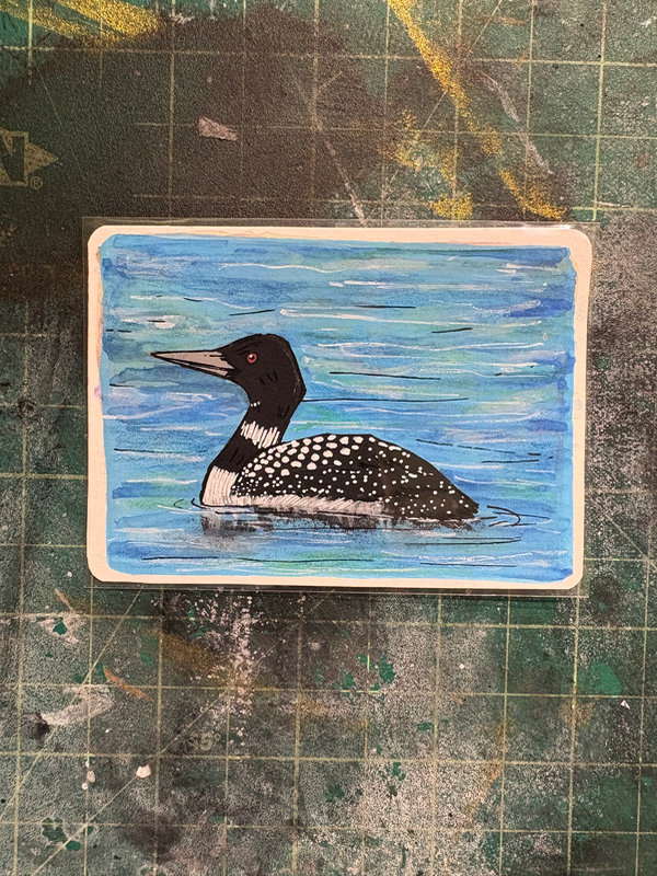 Common Loon aceo art card