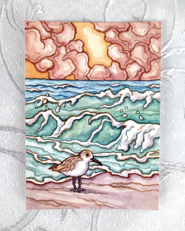 Sandpiper Summer (Seascape Sketch with Shorebird) aceo art card
