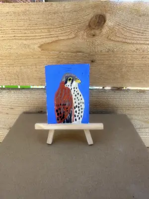 Kestrel aceo art card thumbnail 1