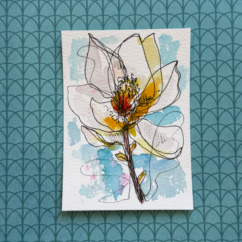 Magnolia aceo art card
