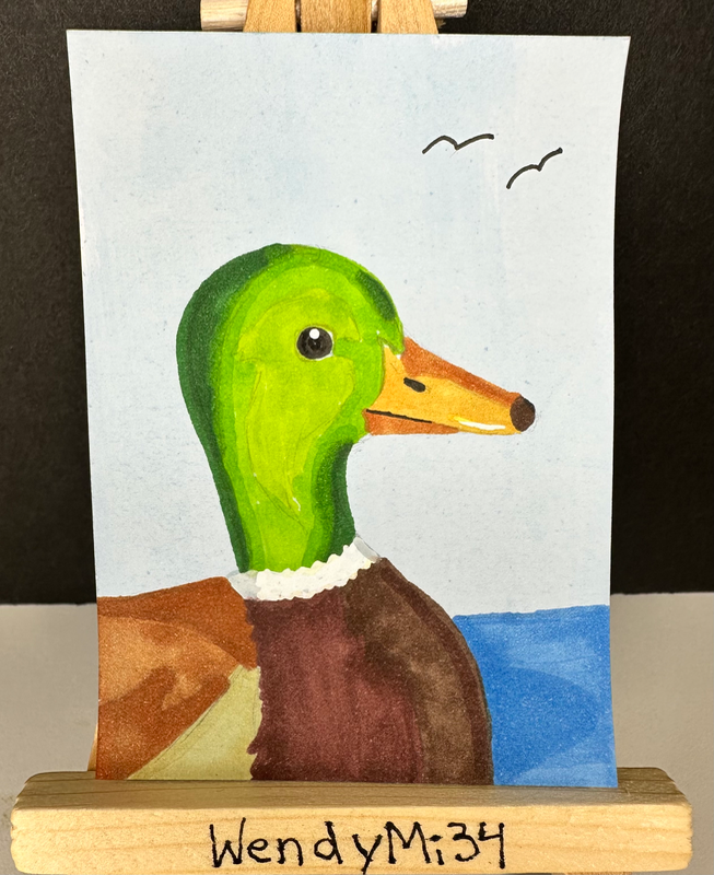 Mallard Duck aceo art card