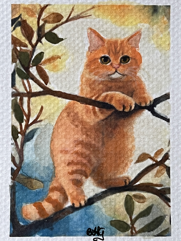 Climbing Cat aceo art card