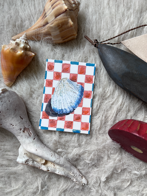 Seashells + Checkers 4 - Clam Shell aceo art card