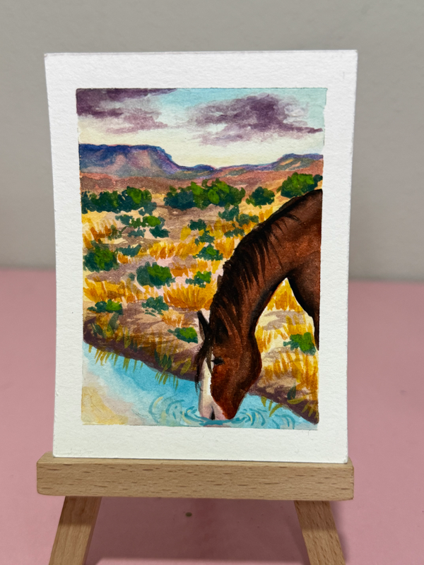 Horse in the Desert aceo art card