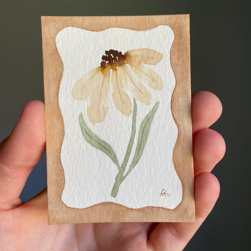 Lovely Yellow Coneflower aceo art card