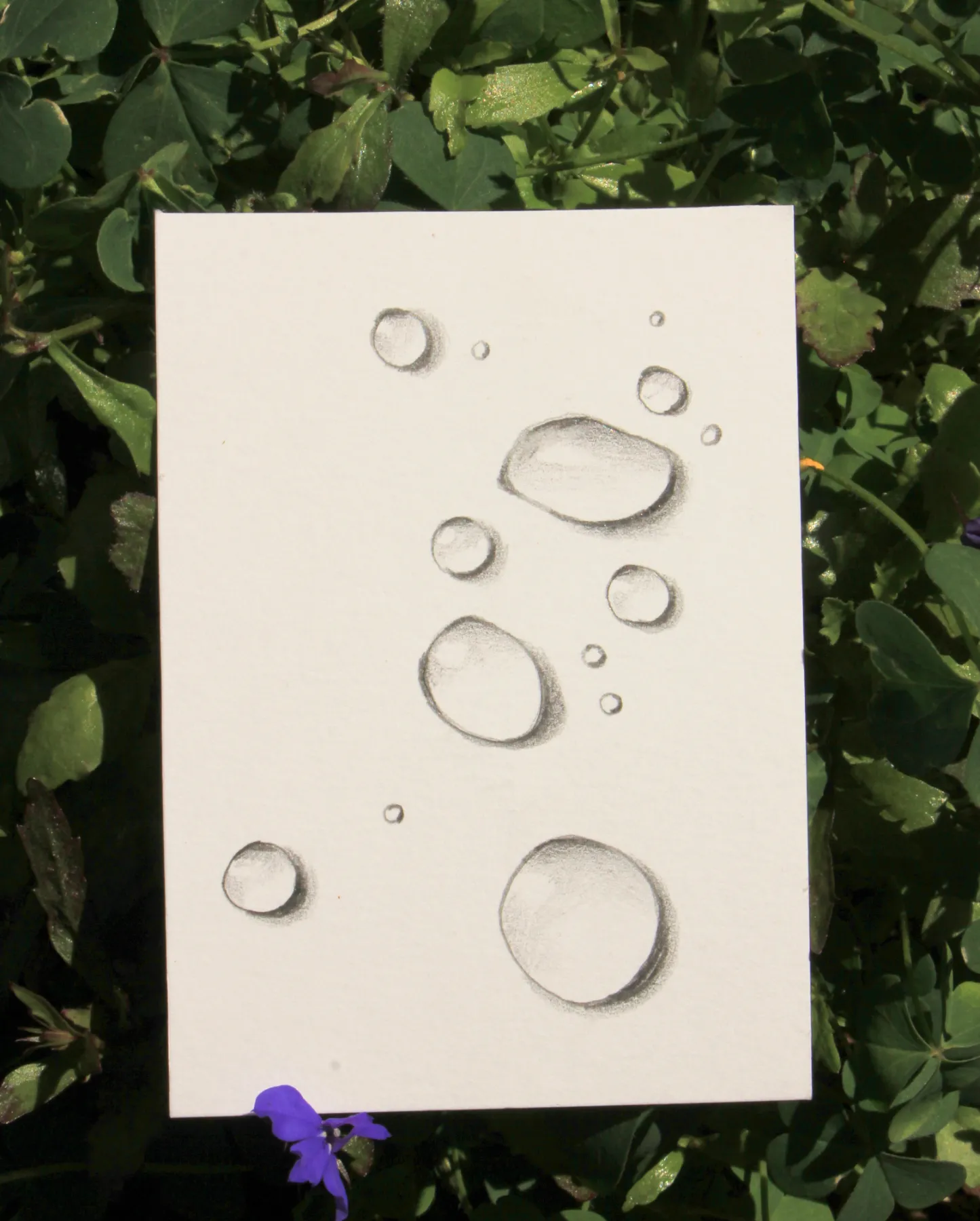 Water Droplet study #2 aceo art card