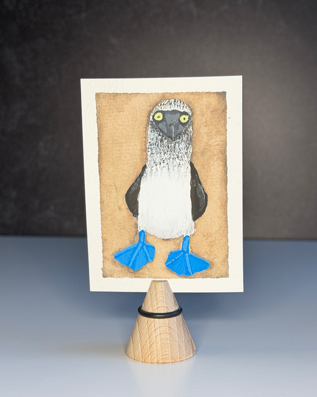 Blue-Footed Booby aceo art card