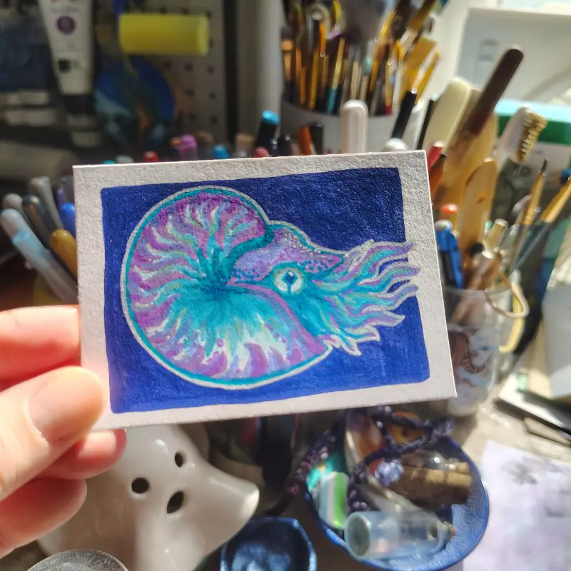 Purple and teal Nautilus, by Mae Be Magpie aceo art card
