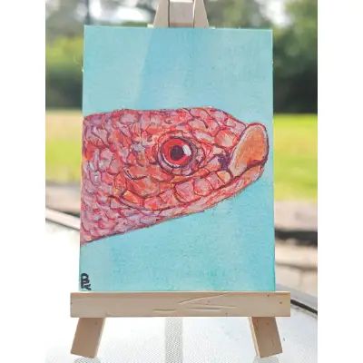 Albino Hognose Snake aceo art card thumbnail 1
