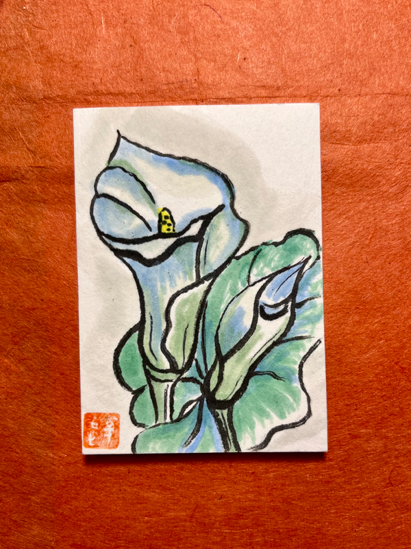 Calla lily white with Sumi ink. aceo art card