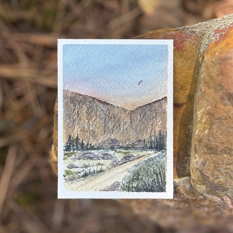 ACEO Original Watercolor, "Burns Park NLR" aceo art card