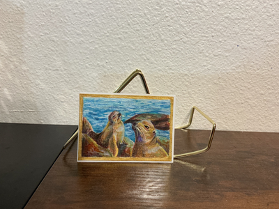 La Jolla Sea Lions: Keep Your Distance aceo art card thumbnail 1