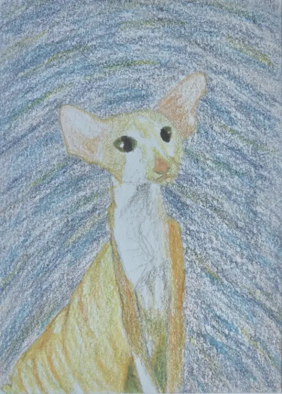 kitty and blue sky aceo art card