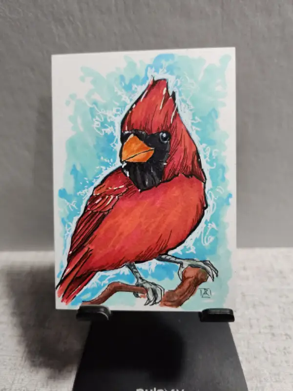 Northern Cardinal aceo art card