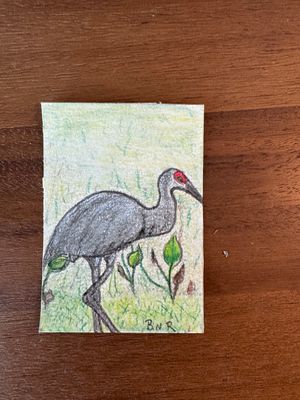 The Florida Birds 1 “Sandhill Crane” aceo art card thumbnail 2
