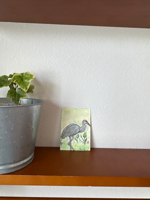 The Florida Birds 1 “Sandhill Crane” aceo art card thumbnail 1