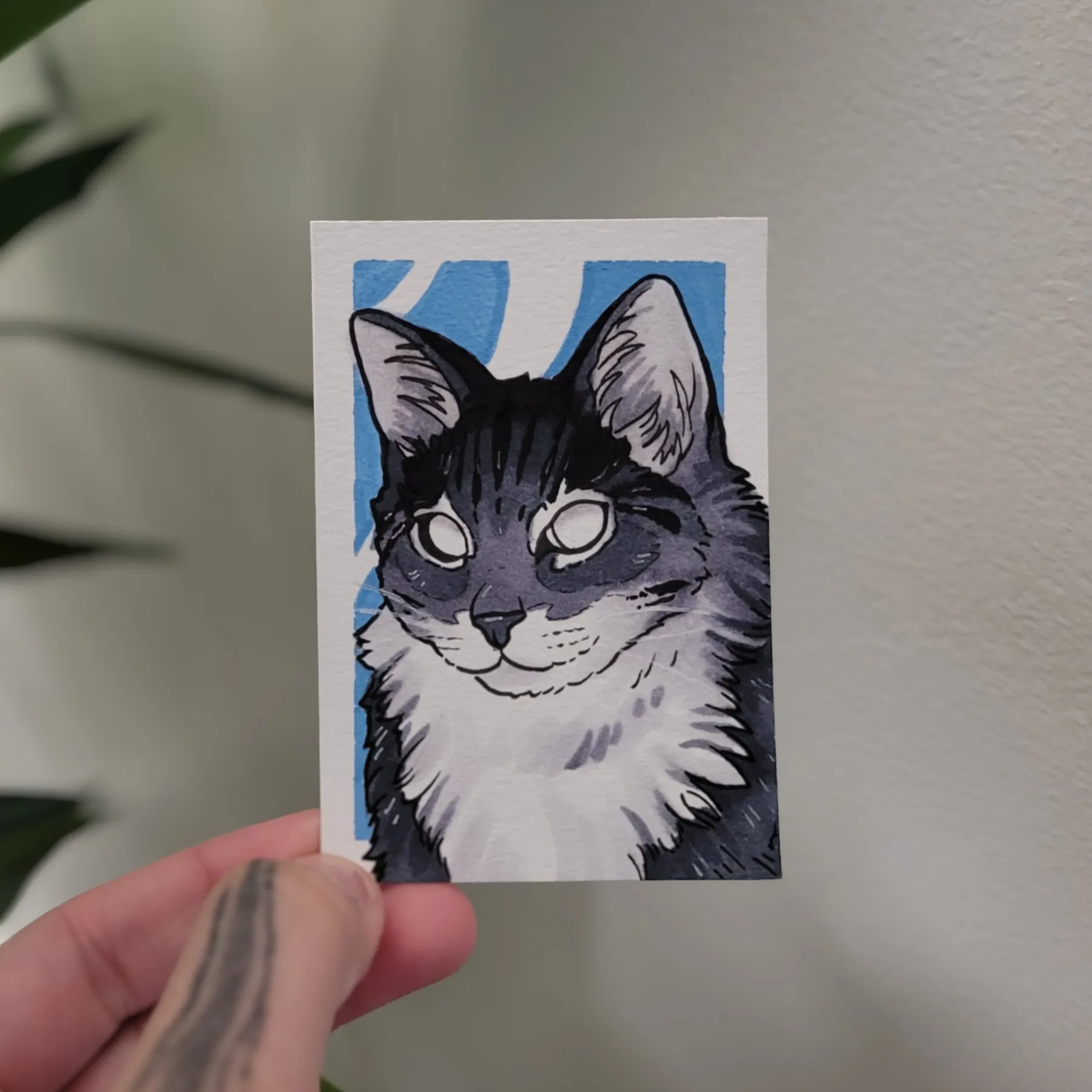 Luna The House Cat aceo art card