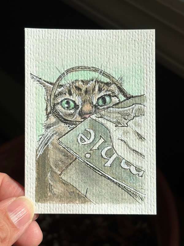 ACEO original, Abercrombie & Cat aceo art card