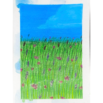 Grassy Field 4 aceo art card thumbnail 2