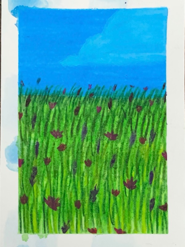 Grassy Field 4 aceo art card