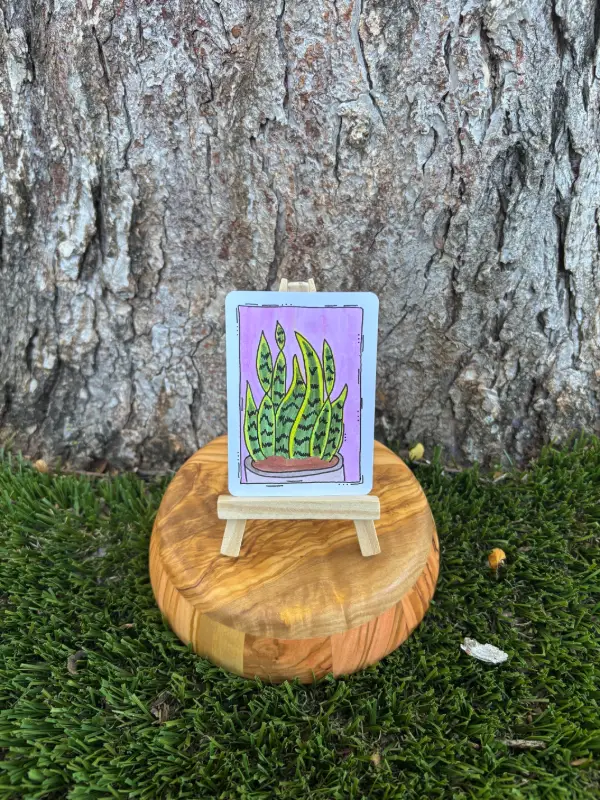 Susan the Snake Plant aceo art card