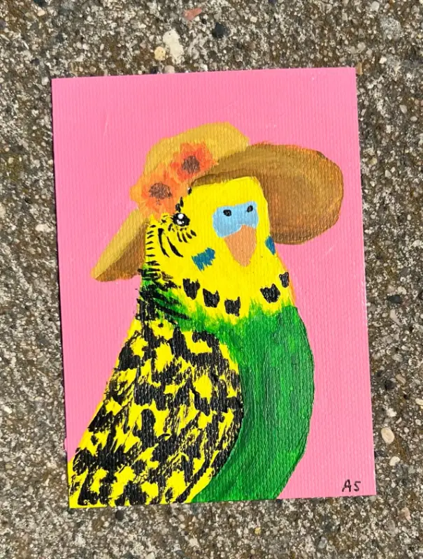 Fancy Budgie Bird aceo art card