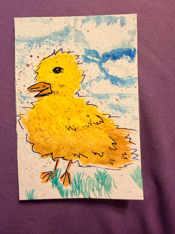 Watercolor Duck aceo art card