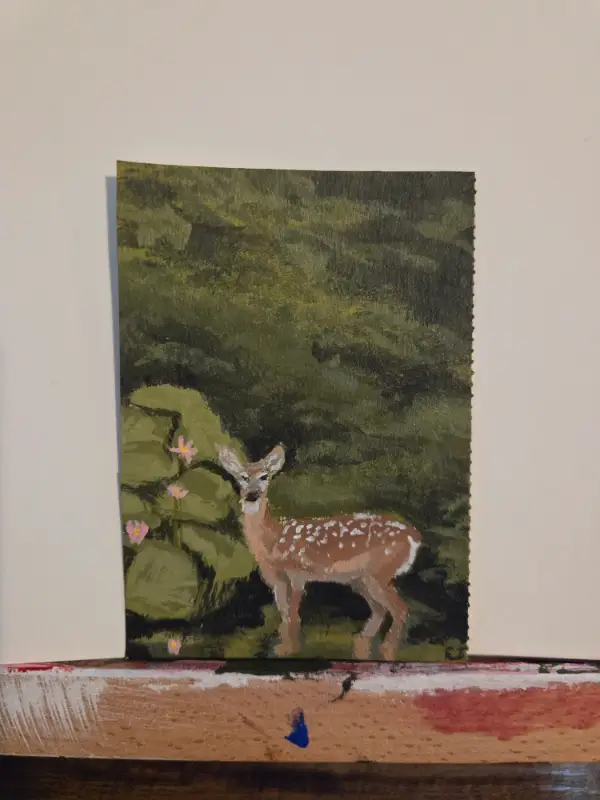 Doe Spotting aceo art card