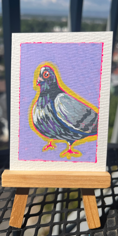 Playful Pigeon 3 aceo art card