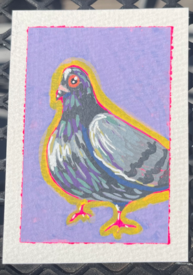 Playful Pigeon 3 aceo art card thumbnail 2