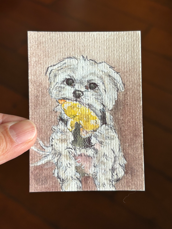 ACEO original, Hughie and duck aceo art card