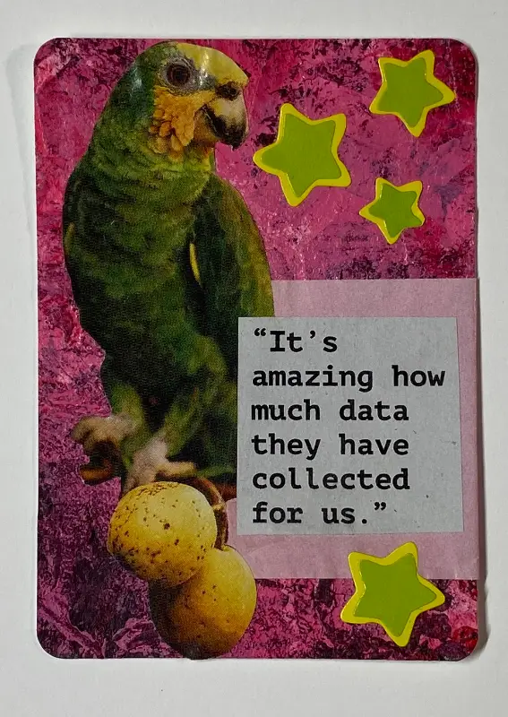Data Parrot aceo art card