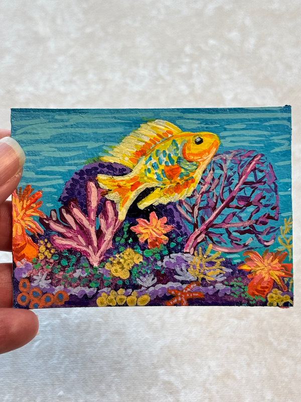 Aquarium aceo art card
