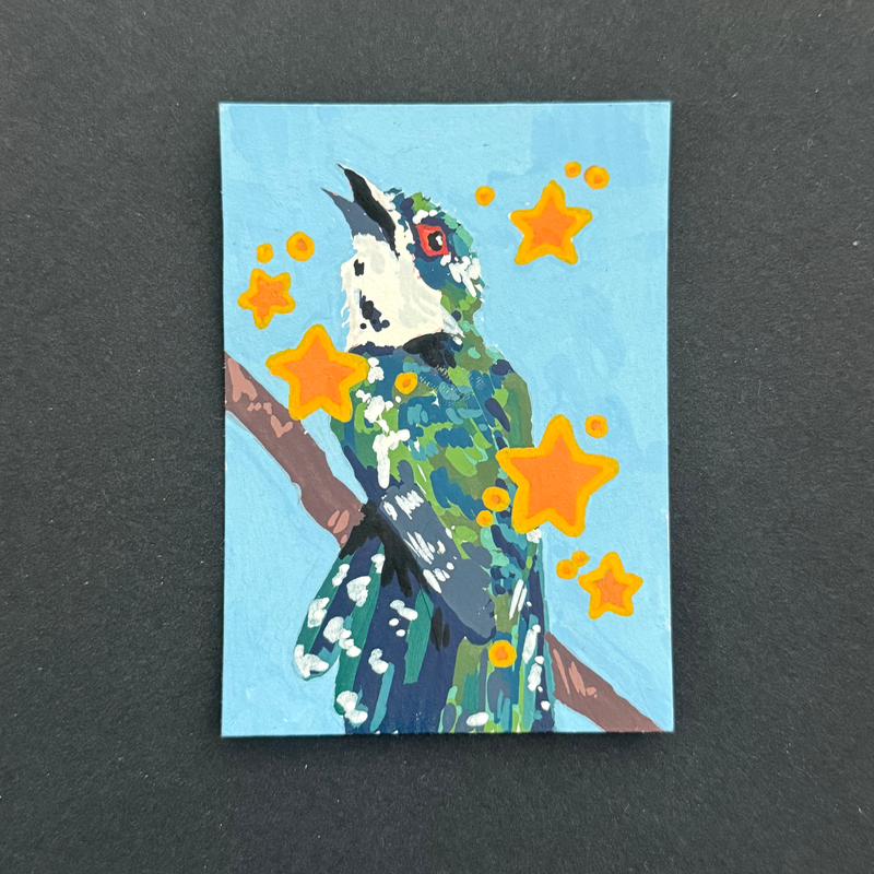 starry cuckoo aceo art card