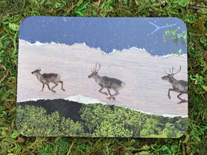 Reindeer Run - ACEO #10 aceo art card