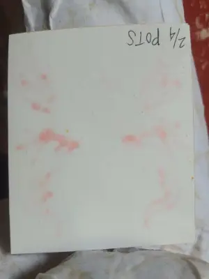 2/4: POTS aceo art card thumbnail 2