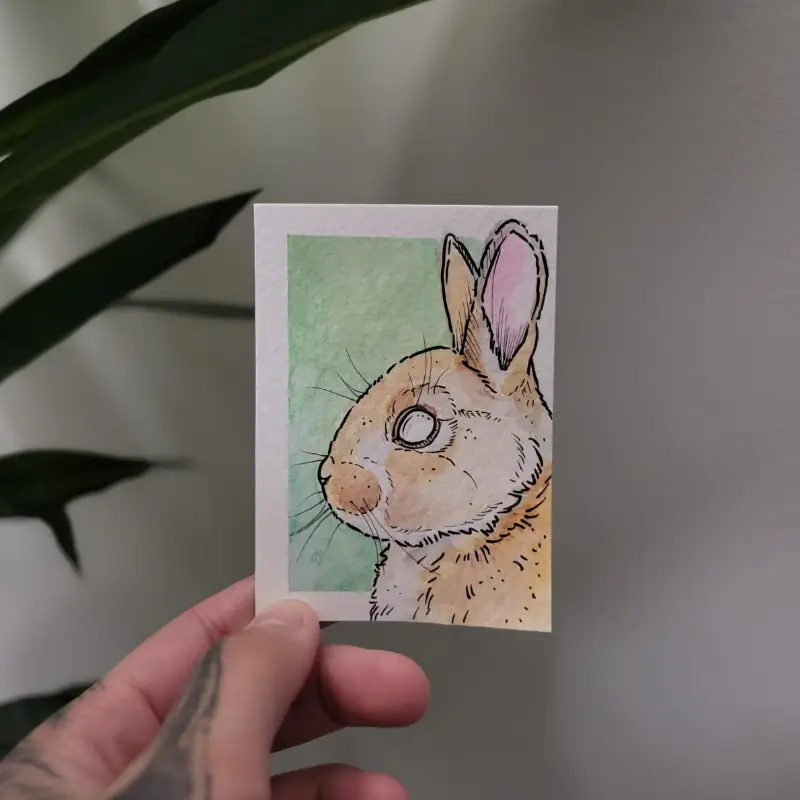 Little Bunny aceo art card
