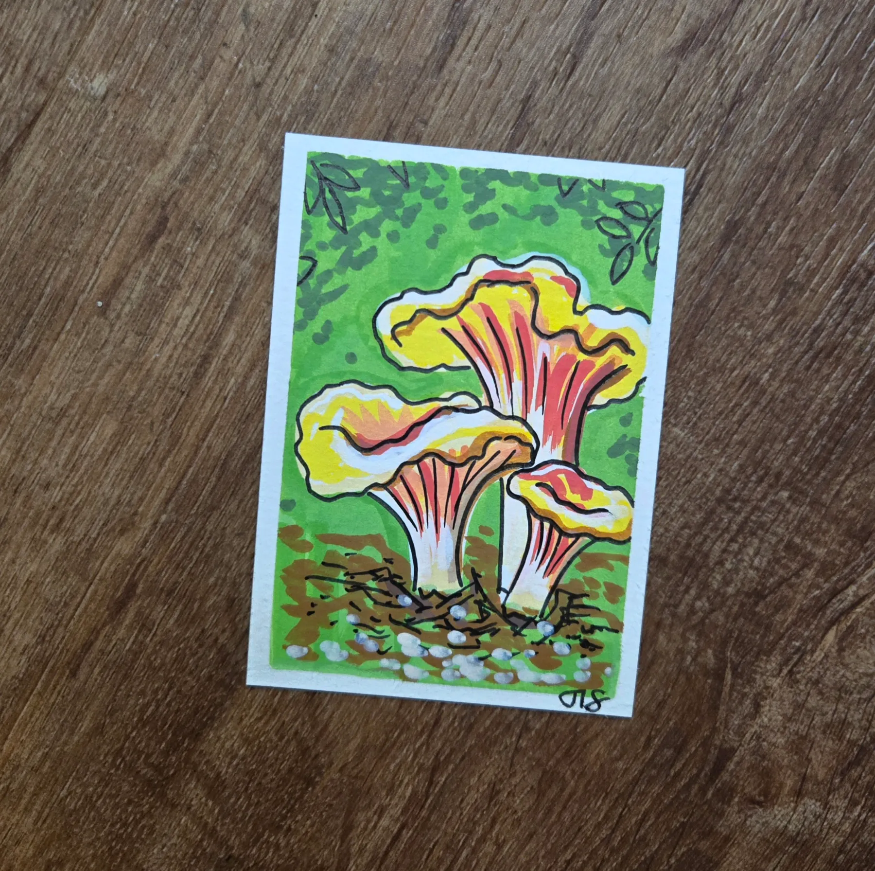 Chanterelle Mushrooms aceo art card
