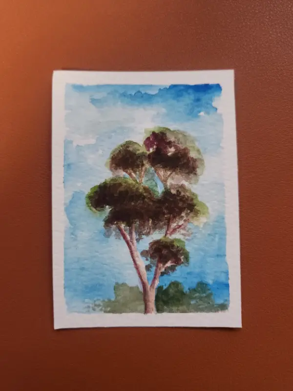 Fall of Giants 4 - Eucalpytus tree aceo art card