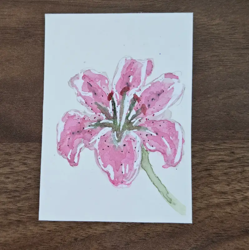 Lily aceo art card