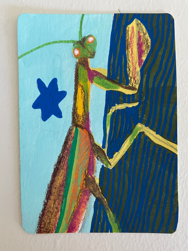 Mantis - original by Norah Mae aceo art card