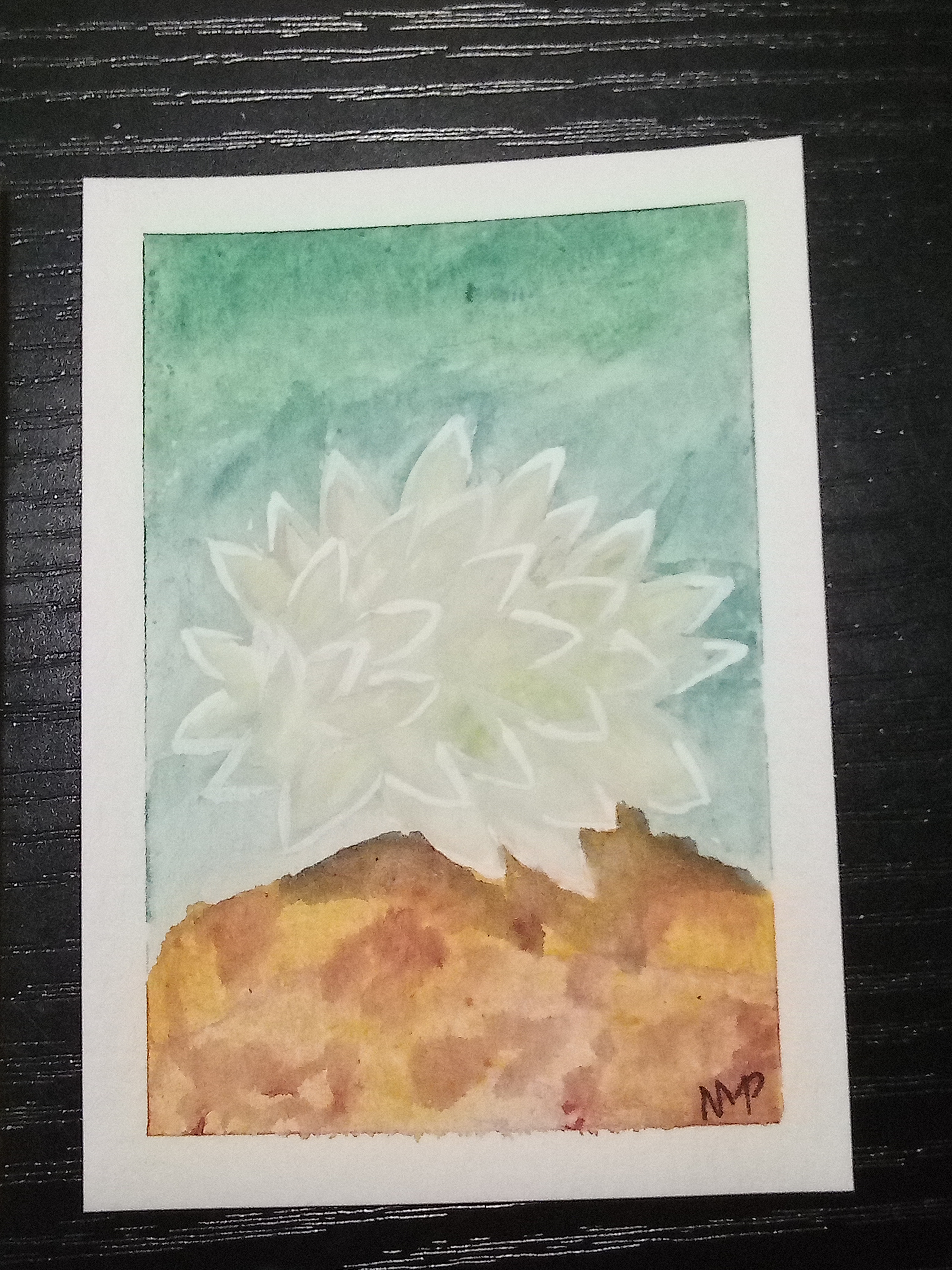 Sea Slug #9 aceo art card