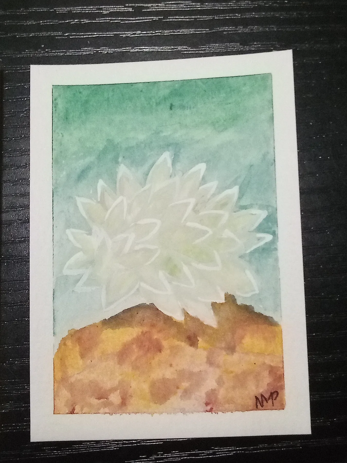 Sea Slug #9 aceo art card