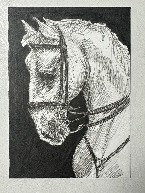 ACEO Original Portrait of a Horse Drawing aceo art card