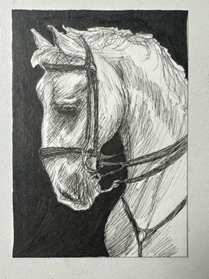 ACEO Original Portrait of a Horse Drawing aceo art card thumbnail 1